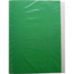 Carpeta Plastificada con Archivador Verde Oscuro