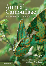 Literatura: Camouflage * Cambridge