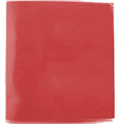 Carpeta Plastificada con Archivador Roja