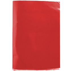Carpeta Plastificada Roja