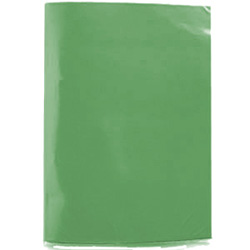 Carpeta Plastificada con Archivador Verde Claro